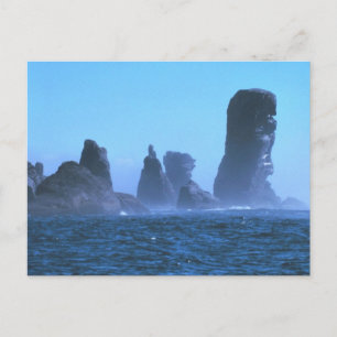 Cape Flattery Postkarte