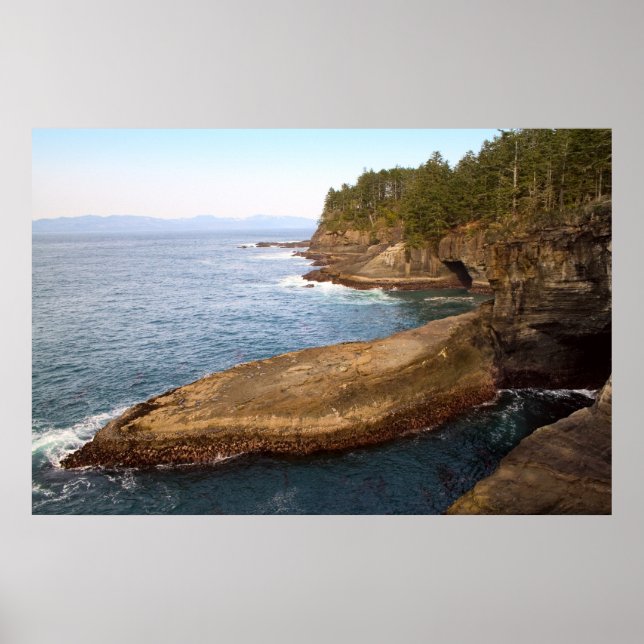Cape Flattery, Washington Rocks und Höhlen Poster (Vorne)