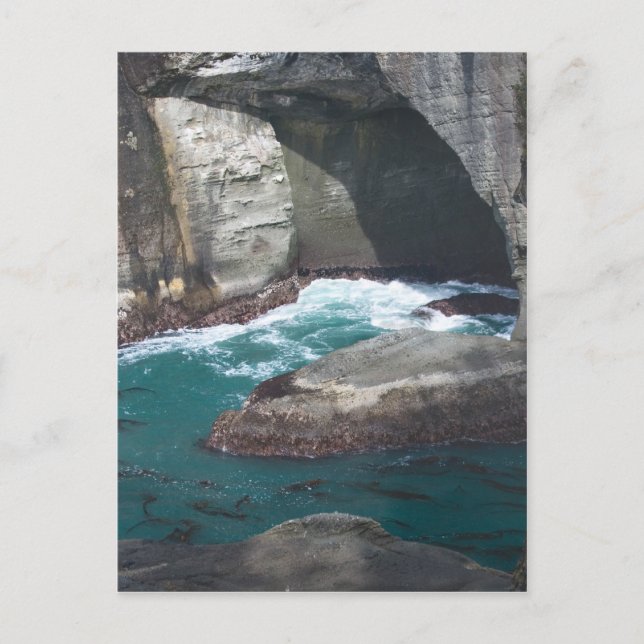 Cape Flattery Washington Staat Postkarte (Vorderseite)