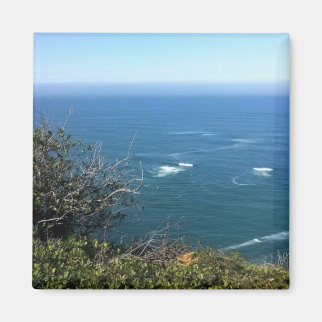 Cape Foulweather, Oregon Magnet (Vorne)