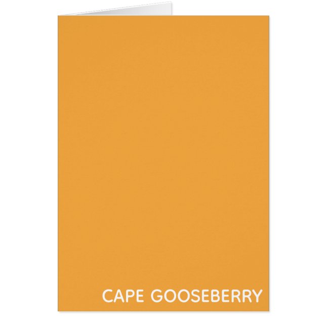 Cape Gooseberry, gelbe Farbe (Vorne)