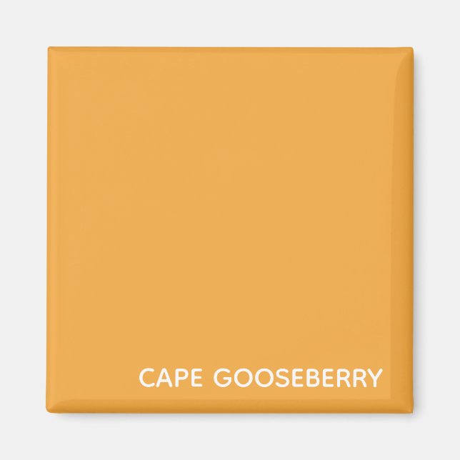 Cape Gooseberry, gelbe Farbe Magnet (Vorne)