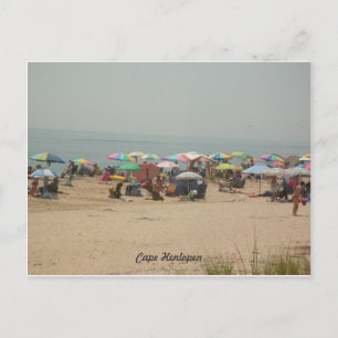 Cape Henlopen Beach Postcard Postkarte