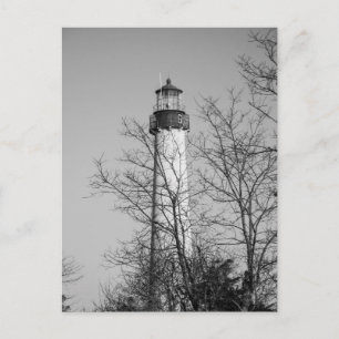 Cape May Light b/w Postkarte