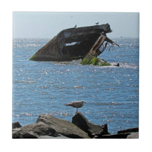 Cape May Shipwreck Fliese