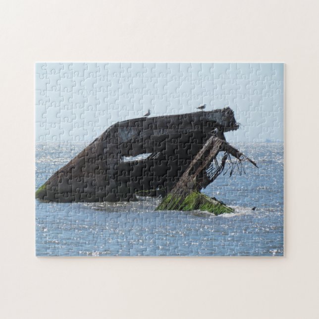 Cape May Shipwreck Puzzle (Horizontal)
