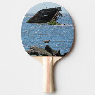 Cape May Shipwreck Tischtennis Schläger