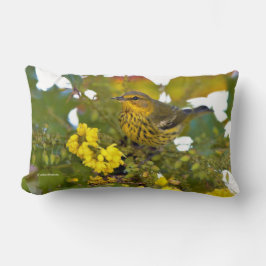 Cape May Warbler Songbird im blühenden Mahonia Lendenkissen