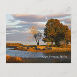 Cape Porpoise, Maine Postkarte
