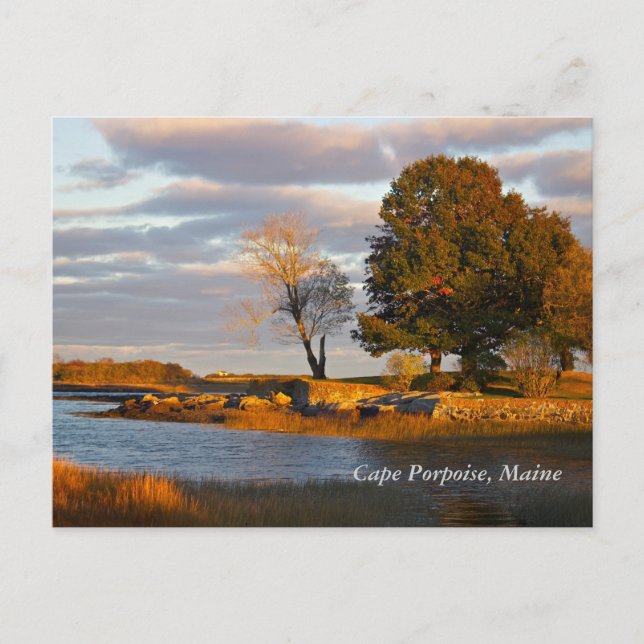 Cape Porpoise, Maine Postkarte (Vorderseite)