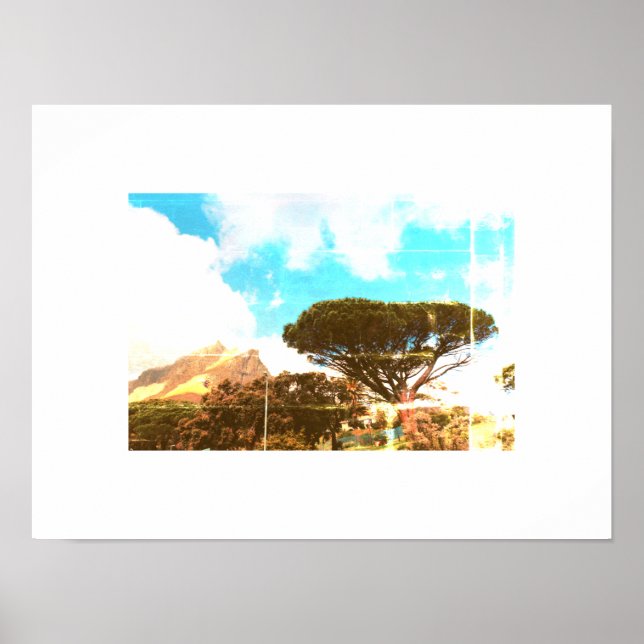 Cape Town Table Mountain Pine Tree View Poster (Vorne)