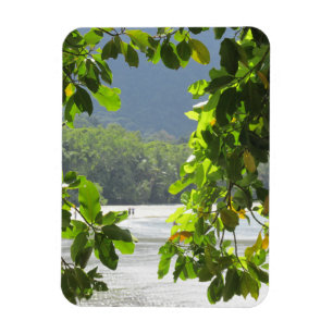 Cape Tribulation Flexibles Foto Magnet
