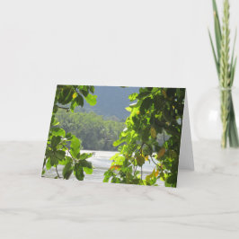 Cape Tribulation Folded Card Karte