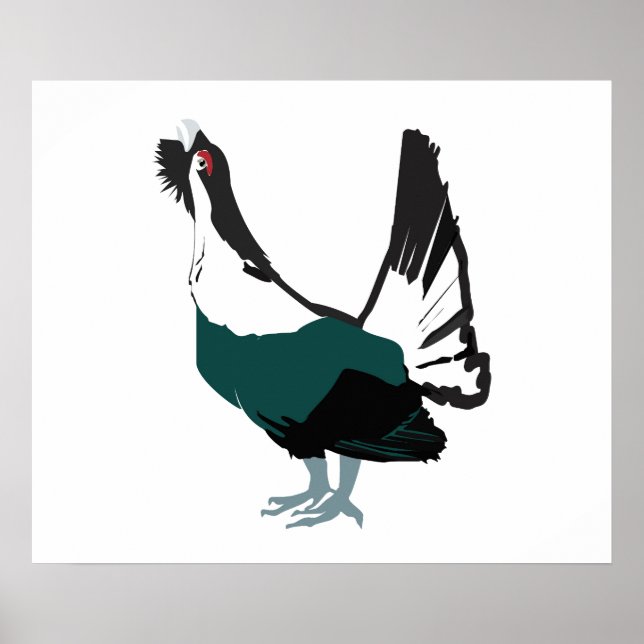 Capercaillie bird Art Value Poster Paper (Matte) (Vorne)
