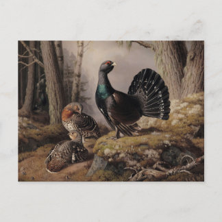 Capercaillies Coursing von Ferdinand von Wright Postkarte