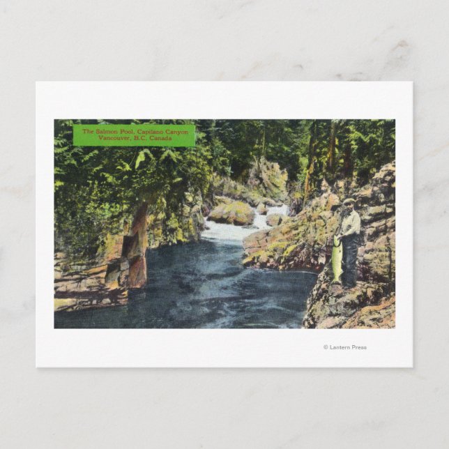 Capilano Canyon Blick auf den Lachspool Postkarte (Vorderseite)