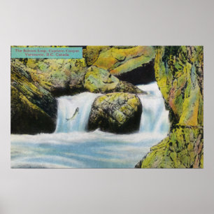 Capilano Canyon Blick auf Lachs Leaping Upstream Poster
