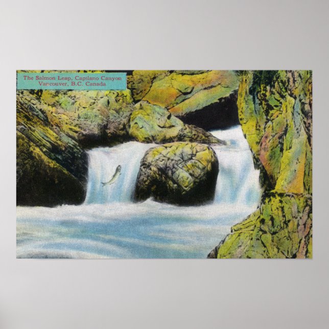 Capilano Canyon Blick auf Lachs Leaping Upstream Poster (Vorne)