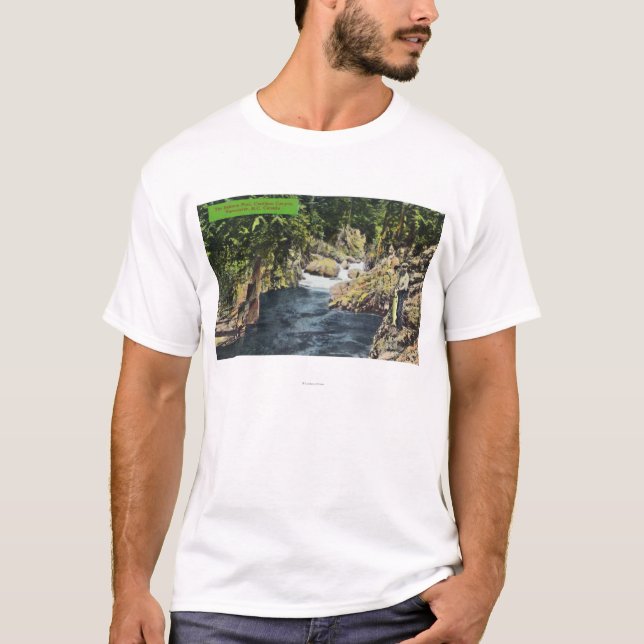 Capilano Schlucht-Ansicht des Lachspools T-Shirt (Vorderseite)