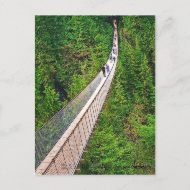 Capilano Suspension Bridge Postcard Postkarte (Vorderseite)