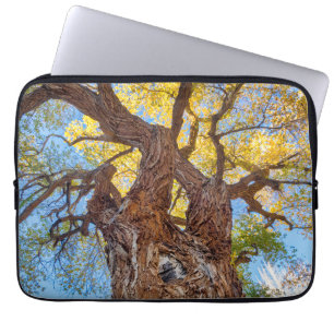 Capitol Reef National Park, Baumter Cottonwood Laptopschutzhülle