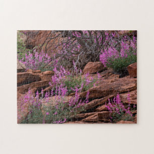 Capitol Reef National Park, Utah, USA Puzzle
