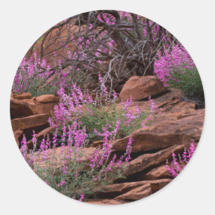 Capitol Reef National Park, Utah, USA Runder Aufkleber