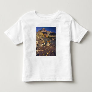 CAPITOL REEF NATIONALPARK, UT, US, Cottonwood Kleinkind T-shirt
