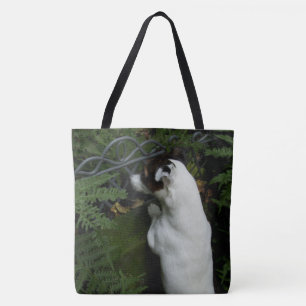 Capo von Oppenheim Jack Russell Terrier, Dog
