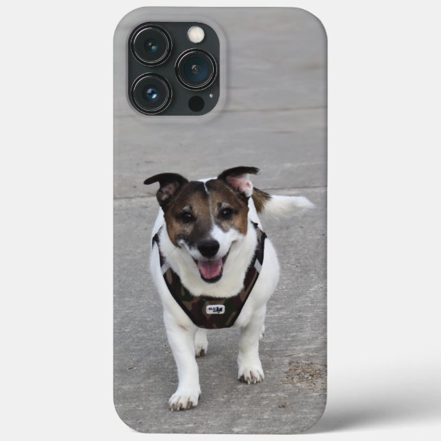 Capo von Oppenheim, Jack Russell Terrier Dog Case-Mate iPhone Hülle (Rückseite)