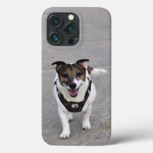 Capo von Oppenheim, Jack Russell Terrier Dog Case-Mate iPhone Hülle