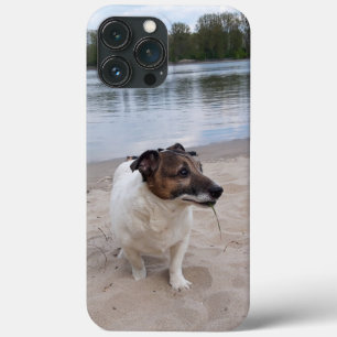 Capo von Oppenheim, Jack Russell Terrier Dog Case-Mate iPhone Hülle