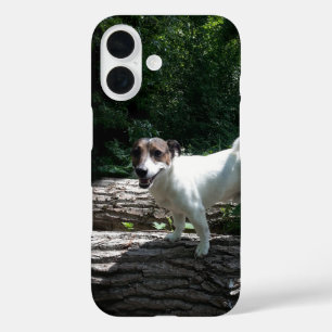 Capo von Oppenheim Jack Russell Terrier, Dog iPhone 16 Hülle