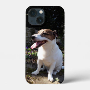 Capo von Oppenheim Jack Russell Terrier, Dog Case-Mate iPhone Hülle