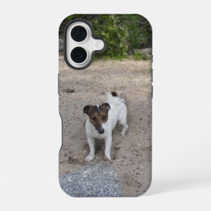 Capo von Oppenheim Jack Russell Terrier, Dog iPhone 16 Hülle