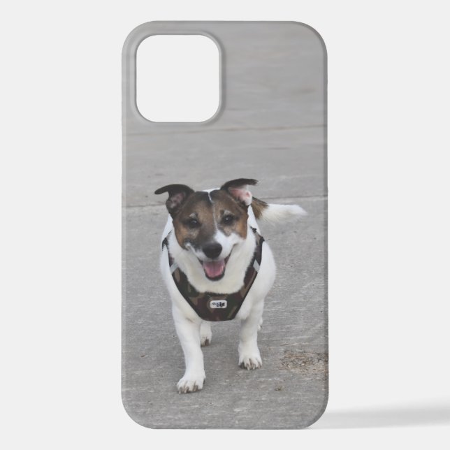 Capo von Oppenheim, Jack Russell Terrier Dog iPhone Hülle (Rückseite)