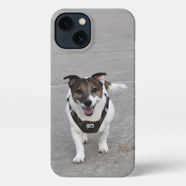 Capo von Oppenheim, Jack Russell Terrier Dog iPhone Hülle (Rückseite)
