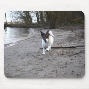 Capo von Oppenheim Jack Russell Terrier, Dog Mousepad