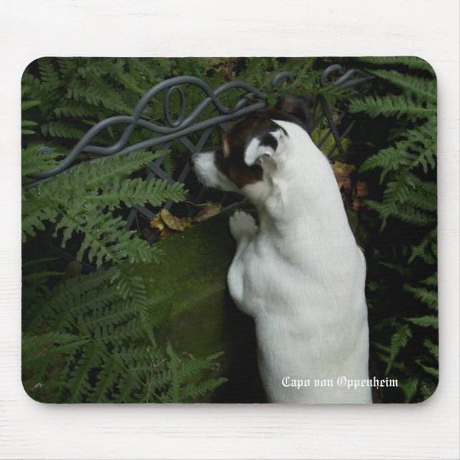 Capo von Oppenheim Jack Russell Terrier, Dog Mousepad (Vorne)