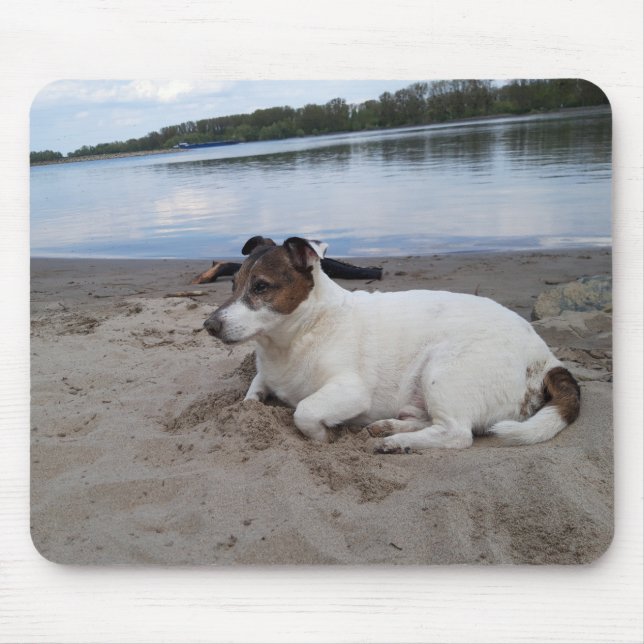 Capo von Oppenheim Jack Russell Terrier, Dog Mousepad (Vorne)