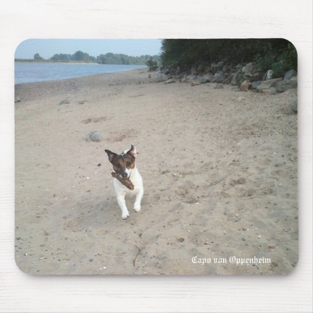 Capo von Oppenheim Jack Russell Terrier, Dog Mousepad (Vorne)