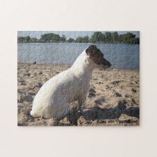 Capo von Oppenheim, Jack Russell Terrier Dog Puzzle