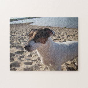 Capo von Oppenheim, Jack Russell Terrier Dog Puzzle