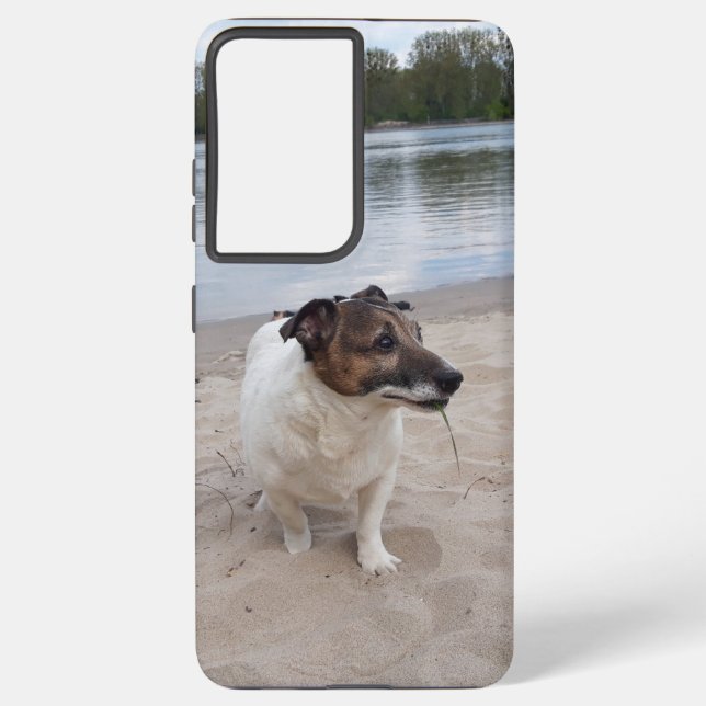 Capo von Oppenheim, Jack Russell Terrier Dog Samsung Galaxy Hülle (Rückseite)