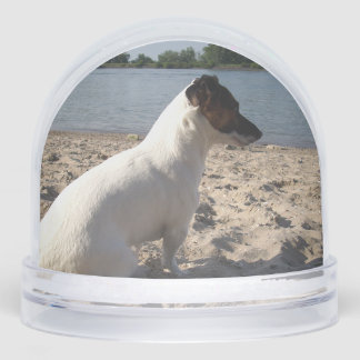 Capo von Oppenheim, Jack Russell Terrier Dog Schneekugeln
