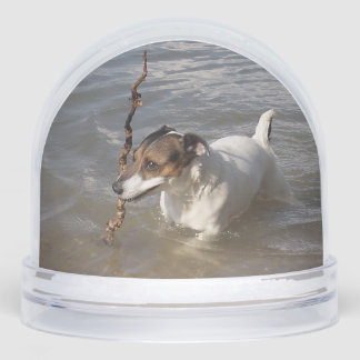 Capo von Oppenheim, Jack Russell Terrier Dog Schneekugeln