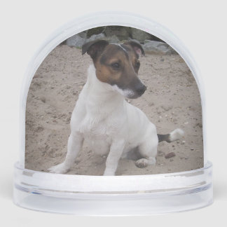 Capo von Oppenheim, Jack Russell Terrier Dog Schneekugeln