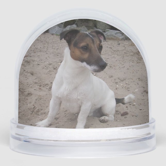 Capo von Oppenheim, Jack Russell Terrier Dog Schneekugeln (Vorderseite)