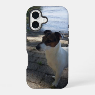 Capo von Oppenheim, Jack Russell Terrier Hund iPhone 16 Hülle