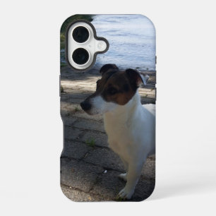 Capo von Oppenheim, Jack Russell Terrier Hund iPhone 16 Hülle